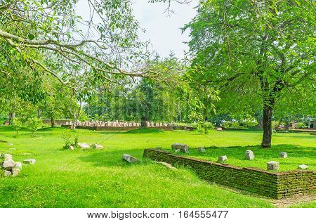 The Ruins Amng The Trees