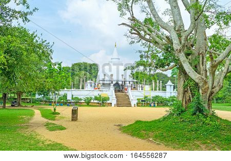 The Temple In Park