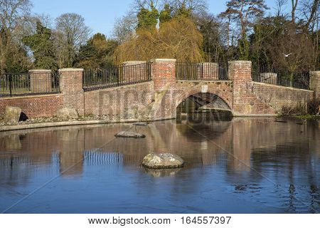 A view of the bridge over the lake in Verulamium Park in the beautiful city of St. Albans England.