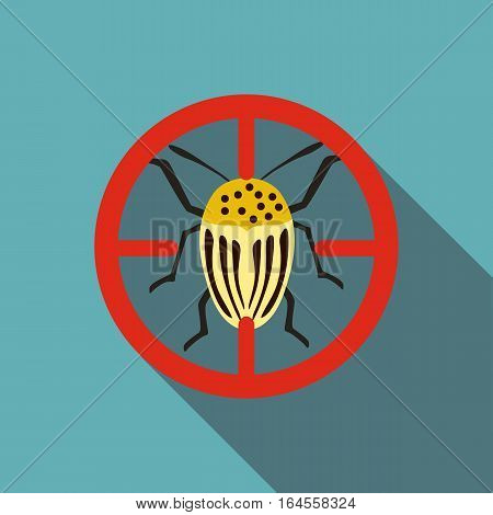 Colorado beetle icon. Flat illustration of colorado beetle vector icon for web