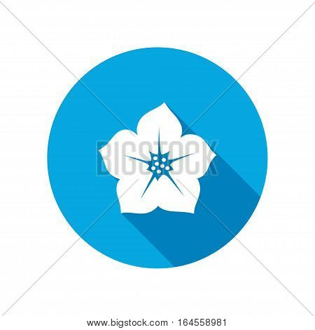 Petunia flower icons. Floral symbol. Round circle flat icon with long shadow. Vector