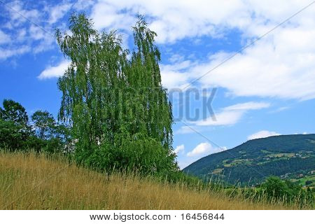 Maravilloso paisaje