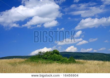 Maravilloso paisaje