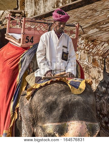 AMER, INDIA - NOVEMBER 18, 2016: An elephant rider or mahout guides his elephant down the path from the Amber Fort in Amer, India to the courtyard to pick up another group of tourists.