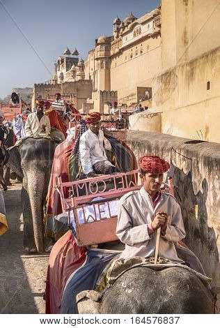 AMER, INDIA - NOVEMBER 18, 2016: On the way up to the Amber Fort in the city of Amer near Jaipur in India, two lines of elephants are travelling. One row is going up with tourists and the other is coming down with just their drivers.