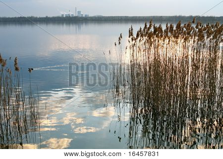 Riflessione di natura