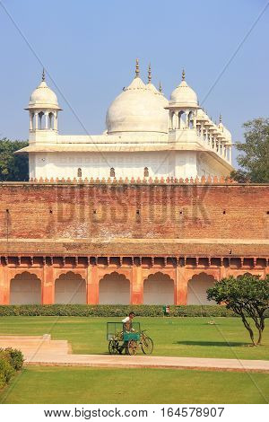 Agra, India - January 29: Moti Masjid (pearl Mosque) In Agra Fort On January 29, 2011 In Agra, India