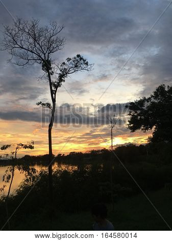 Sunset at natural park silhouette, Beautiful sky background