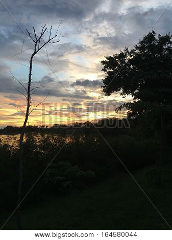Sunset at natural park silhouette, Beautiful sky background