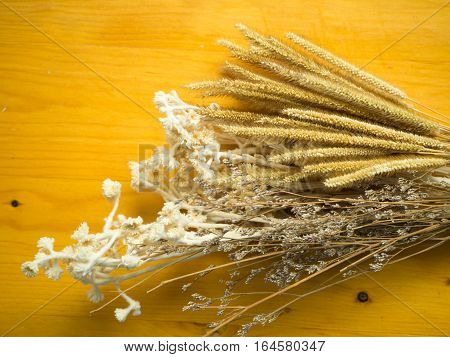 Dry flower on brown wooden table, top view