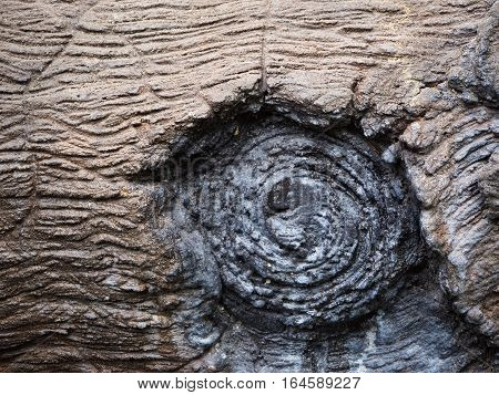 Wooden background texture making from the cement