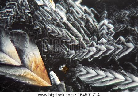 Crystals of Erythritol under the microscope. Erythritol is a sweetener for food.