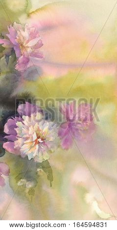 Bouquet of white and pink peonies watercolor illiustration. Wedding card. Summer bloom.