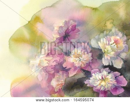 Bouquet of white and pink peonies watercolor illiustration. Wedding card. Summer bloom.