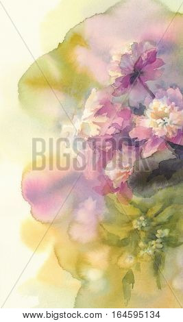 Bouquet of white and pink peonies watercolor illiustration. Wedding card. Summer bloom.