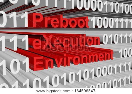 Preboot eXecution Environment in the form of binary code, 3D illustration