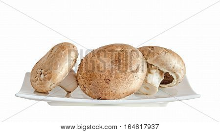 Mushrooms Champignon, Agaricus Bisporus On A White Plate, Close Up, White Background.