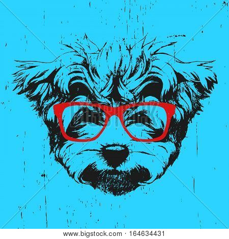Portrait of Maltese Poodle with glasses. Hand drawn illustration. Vector.