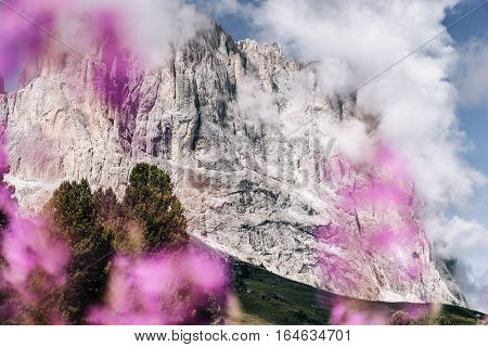 mountains summer green Dolomites alpine traditional alpine life