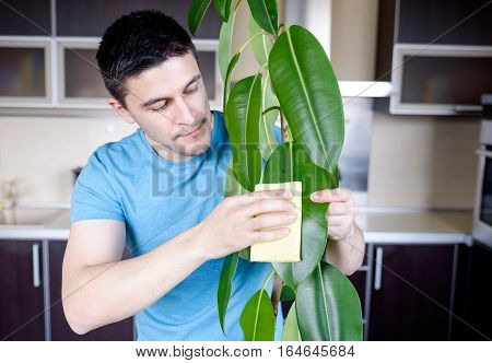 Adult Man Cleaning Pipal In Kitchen