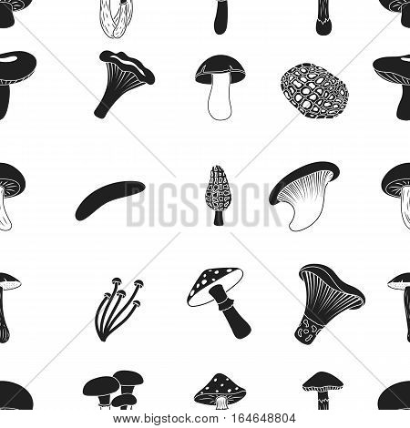 Mushroom pattern icons in black style. Big collection of mushroom vector symbol stock