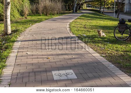 cycleway signposted a ground bikeway for cyclists only. Bike lane between trees in Jardin del Turia in Valencia Spain