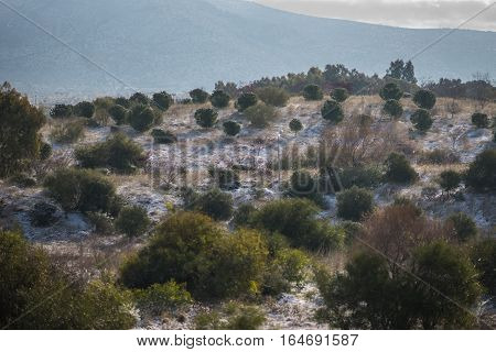 Snowy Landscape In Athens - Rare And Unique Event