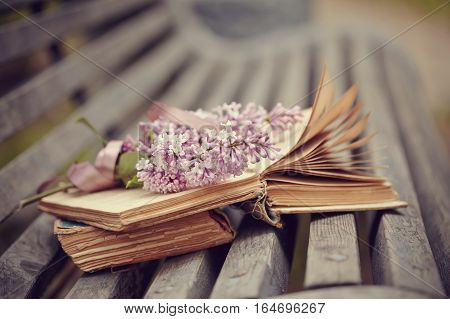 Forgotten books and branch of a lilac lie on a bench.
