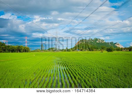 High voltage electricity pylon on the confield have moutain and sky on blackground