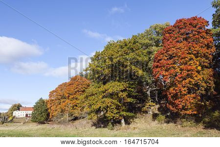 ROSLAGEN, SWEDEN ON OCTOBER 10. View in the morning, colorful leaves in the trees, a sunny estate on October 10, 2016 in Roslagen, Sweden. Park to the left. Editorial use.