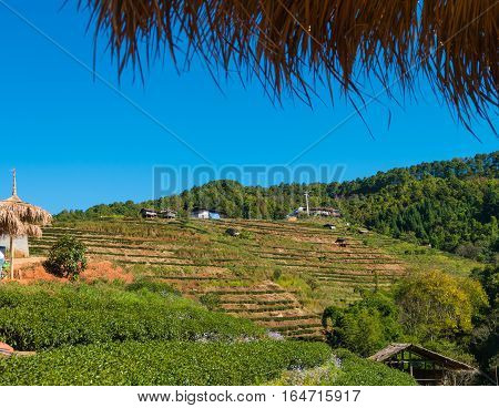 Beautiful view at doi angkang chiang mai Thailand