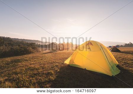 Yellow camping tent on yellow grass hill with warm sunlight from mountain and clear sky in winter season of national park
