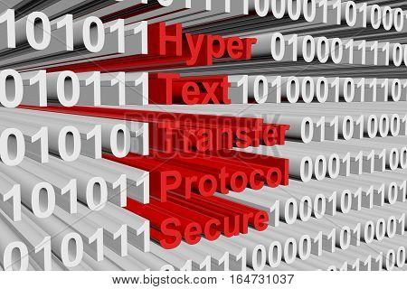 Hyper Text Transfer Protocol Secure in the form of binary code, 3D illustration