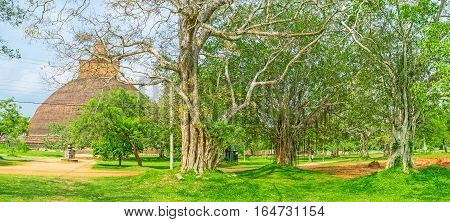 The Pleasant Garden Of Jetavana Vihara