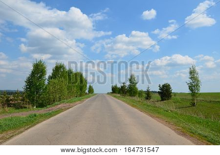 Fields Near The Garden In Russia