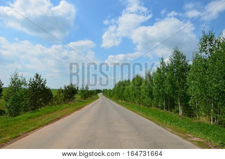Fields Near The Garden In Russia