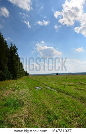 Fields Near The Garden In Russia