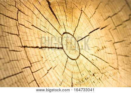 Cracked middle section of wood looks like a sun.