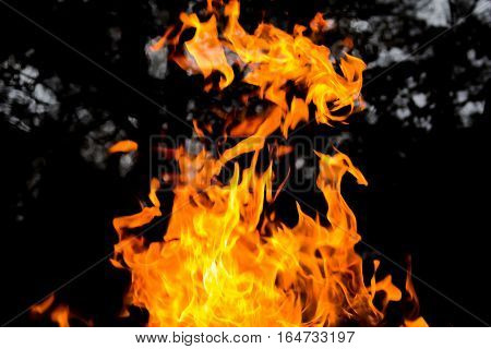 Dragon shape fire flame abstract background. Danger concept