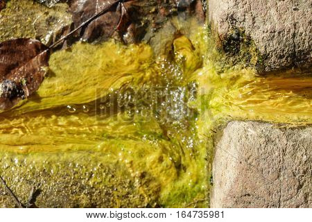 Closeup of colored fountain with slime covered water, top view