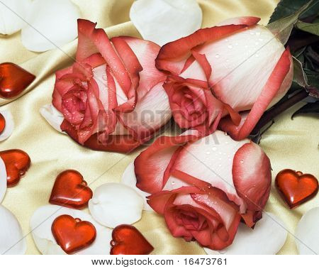red roses on satin with hearts