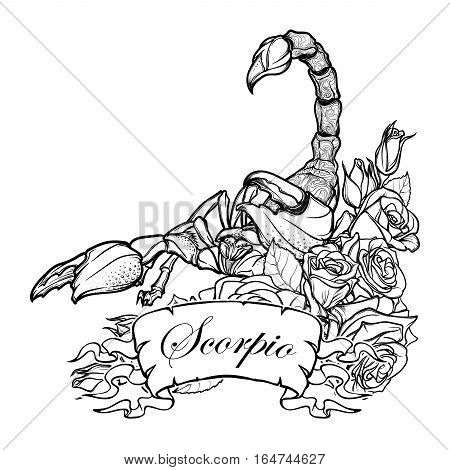 Zodiac sign Scorpio. Detailed realistic scorpio in a decorative frame of roses. Sketch isolated on white background. Concept art for tattoo design, horoscope, coloring book for adults page.