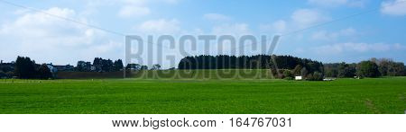 Bright green meadows and blue sky panorma.