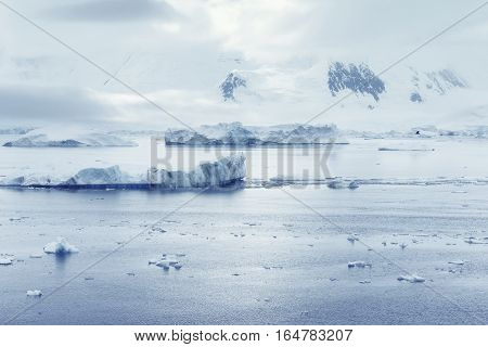 Low clouds over the mountains and chunks of ice floating of Port Lockroy research station Antarctica Polar