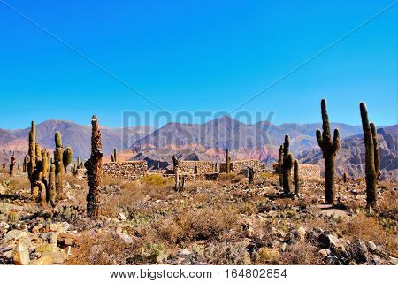 Pucara de Tilcara is an archaeological site of the Inca located in the Quebrada de Humahuaca a mountain valley in the area Jujuy in Argentina