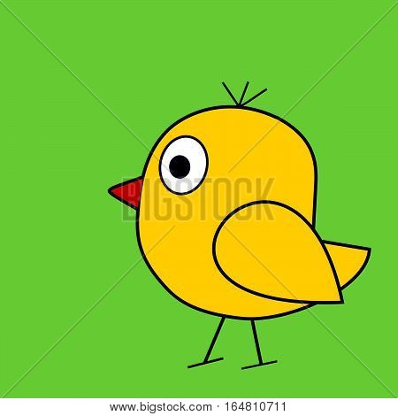 yellow Easter chick standing on a green background