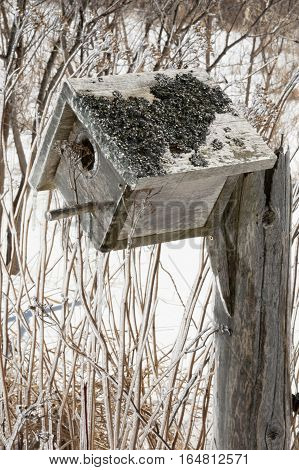 Bird nesting box covered in ice after an ice storm. Background is snow covered and dead winter shrubs and yarrow and wildflowers