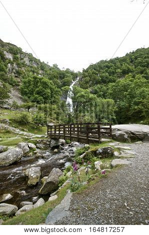 Aber Falls Bridge with river bellow and waterfall in the background,  Summer with  trees and plants surrounding portrait. Abergwyngregyn North Wales UK