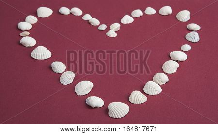 Heart from white seashells on a red background. Valentine's Day, love, sea.