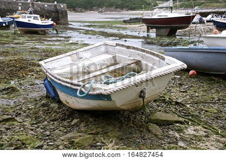 old White rowing boat beached on the shore in harbour surrounded by seaweed, sand and other boats